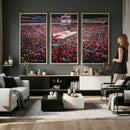 Louisville Cardinals Basketball Print Canvas - Louisville