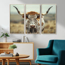 Texas Cow Longhorn Wall Art Canvas Print for Farm House Wall