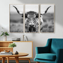 Texas Cow Longhorn Wall Art Canvas Print for Farm House Wall by MyGreatCanvas | Canvas Wall Art Prints | Photo Prints & Wall Decor