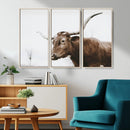 Rustic Bull Wall Art Canvas Print – Modern Longhorn