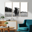 Black and White Highland Cow Wall Art Canvas Print | Rustic