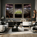 Eagles Field Stadium Wall Art - Philadelphia Eagles Football