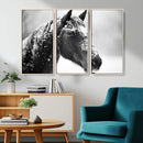 Horse Canvas Print - Winter Horse Snow Wall Art Canvas Print