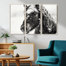 Framed Black and White Horse Wall Art | Ready to Hang and by MyGreatCanvas | Canvas Wall Art Prints | Photo Prints & Wall Decor