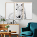 Majestic White Horse Wall Art | Ready to Hang and Framed |