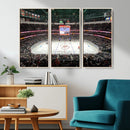 Honda Center California Anaheim Ducks Ice Hockey Stadium