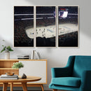 Honda Center California Anaheim Ducks Hockey Stadium Wall