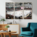 Lausanne Arena Ice Hockey Stadium Wall Art Canvas Print,