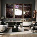 PNC Arena Raleigh North Carolina Hurricanes Hockey Stadium