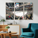 Xcel Energy Center St Paul Minnesota Wild Ice Hockey Stadium