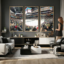 Xcel Energy Center St Paul Minnesota Wild Ice Hockey Stadium