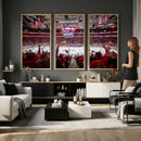 Carolina Hurricanes Ice Hockey Stadium Wall Art, Carolina