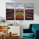 Florida Tampa Raymond James Stadium Wall Art Canvas Print -