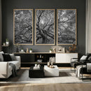 Majestic Angel Oak Tree Black and White Canvas Print – Multi
