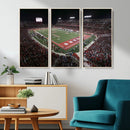 Houston Cougars Football Team Print - Houston TDECU Stadium