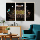 Wake Forest University Demon Deacons Canvas Printi, Football