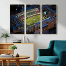 University of North Texas Mean Green Football Artwork,