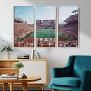 Framed Texas Memorial Stadium Canvas, University of Texas