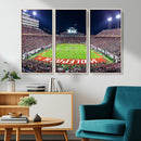 Wolfpack Football Team Print - Raleigh Carter-Finley Stadium