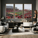 University of Illinois Fighting Illini Football Team Print -