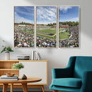 University of Charlotte 49ers Football Team Print - by MyGreatCanvas | Canvas Wall Art Prints | Photo Prints & Wall Decor