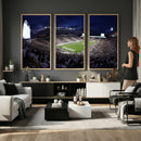 Michigan State Spartans Canvas, Framed Football Team Print -