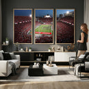 Ohio State University Buckeyes Football Team Print -