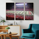 Rutgers University Scarlet Knights Football Team Print -