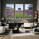 TCU Horned Frogs Football Team Print - Fort Worth Amon G.