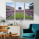 TCU Horned Frogs Football Team Print - Fort Worth Amon G.