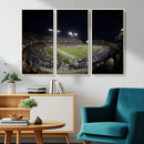 TCU Horned Frogs Football Team Print - Fort Worth Amon G.