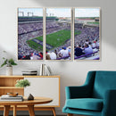 The Texas Christian University TCU Horned Frogs Football