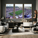 The Texas Christian University TCU Horned Frogs Football