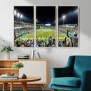 The Tulane University Green Wave Football Team Print - New