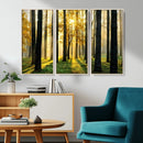 Sunlit Forest Wall Art Canvas Print – Large Framed Woodland