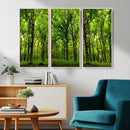 Lush Green Forest Canvas Print | 3-Panel Forest Wall Art |