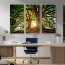 Majestic Ancient Tree Wall Art, NatureCanvas Print, Woodland by MyGreatCanvas | Canvas Wall Art Prints | Photo Prints & Wall Decor