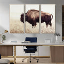 Bison in Field Wall Art Canvas Print For Farmhouse Barn