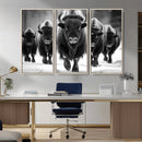 American Bison Art | Buffalo Herd Wall Art Canvas Print, BW