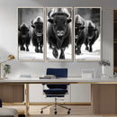 American Bison Art | Buffalo Herd Wall Art Canvas Print, BW