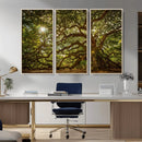 Ancient Angel Oak Tree Art Sunburst Canvas Print-