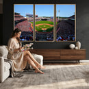 Cincinnati Reds Baseball Canvas Print - American Ball
