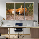 Sleeping Fox Wall Art Canvas Print, Farmhouse Wall Decor and