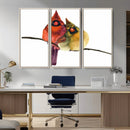 Cardinal Bird Canvas Wall Art - Male and Female Cardinal