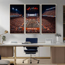 Texas Stadium Night Game Wall Art Canvas Print – Vibrant