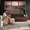 Indiana Memorial Stadium Wall Art Canvas Print, Framed