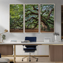 Historic Tree Wall Art – Framed Mossy Branch Canvas Artwork, by MyGreatCanvas | Canvas Wall Art Prints | Photo Prints & Wall Decor