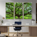 Oak Tree Wall Art Print, Forest Canvas Wall Art for Home and by MyGreatCanvas | Canvas Wall Art Prints | Photo Prints & Wall Decor