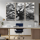 Ancient Oak Wall Art Canvas Print – Gnarled Tree Twisted by MyGreatCanvas | Canvas Wall Art Prints | Photo Prints & Wall Decor