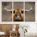 Texas Longhorn Wall Art Canvas Print – Brown Bull Rustic